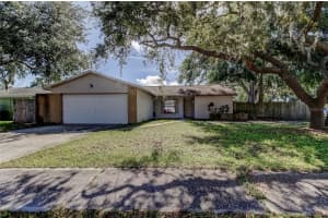 14701 CACTUS WREN PLACE, TAMPA, FL 33625 - MLS#MFRTB8407238