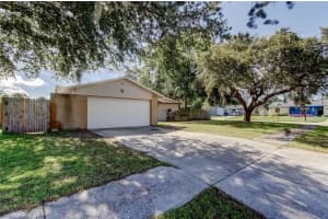 14701 CACTUS WREN PLACE, TAMPA, FL 33625 - MLS#MFRTB8407238
