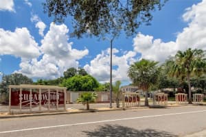 14701 CACTUS WREN PLACE, TAMPA, FL 33625 - MLS#MFRTB8407238