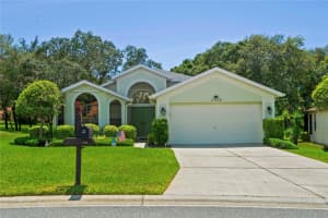 11378 Deercroft Ct, SPRING HILL