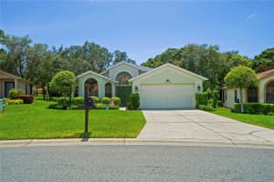 11378 DEERCROFT COURT, SPRING HILL, FL 34609 - MLS#MFRTB8407268