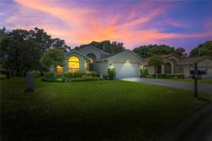 11378 DEERCROFT COURT, SPRING HILL, FL 34609 - MLS#MFRTB8407268