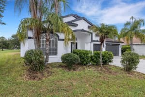 5345 BOLD VENTURE PLACE, WESLEY CHAPEL, FL 33544 - MLS#MFRTB8407276