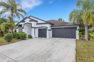 5345 BOLD VENTURE PLACE, WESLEY CHAPEL, FL 33544 - MLS#MFRTB8407276