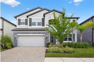 10831 Sundrift Dr, TAMPA