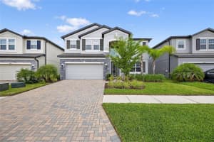10831 SUNDRIFT DRIVE, TAMPA, FL 33647 - MLS#MFRTB8407296