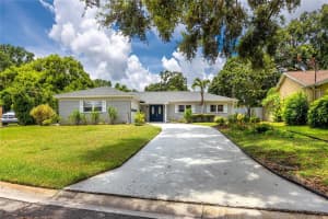 10504 Lacera Dr, TAMPA