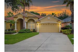 20821 Amanda Oak Ct, LAND O LAKES