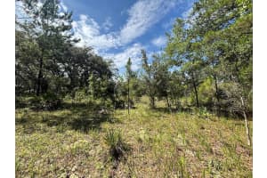 1 4057-0797, FORT MC COY, FL 32134 - MLS#MFRTB8407342