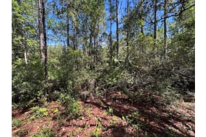 1 4057-0797, FORT MC COY, FL 32134 - MLS#MFRTB8407342