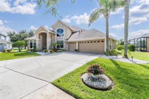 19119 Mandarin Grove Pl, TAMPA