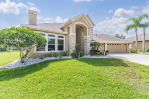19119 MANDARIN GROVE PLACE, TAMPA, FL 33647 - MLS#MFRTB8407344
