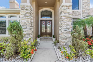 19119 MANDARIN GROVE PLACE, TAMPA, FL 33647 - MLS#MFRTB8407344