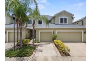 558 Harbor Ridge Dr, PALM HARBOR