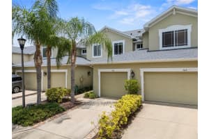 558 HARBOR RIDGE DRIVE, PALM HARBOR, FL 34683 - MLS#MFRTB8407351
