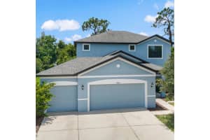 19820 Lonesome Pine Dr, LAND O LAKES
