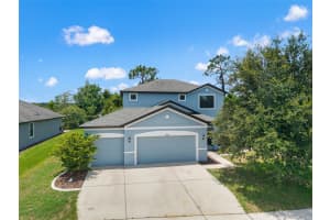 19820 LONESOME PINE DRIVE, LAND O LAKES, FL 34638 - MLS#MFRTB8407383