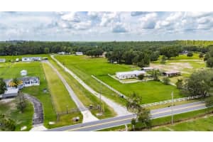 6250 GREEN POND ROAD, POLK CITY, FL 33868 - MLS#MFRTB8407384