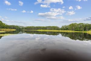 4540 Mitchell Rd, LAND O LAKES