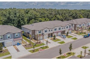 10210 TRUMPET HONEYSUCKLE WAY, SAN ANTONIO, FL 33576 - MLS#MFRTB8407423