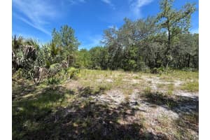 1 4057-0797, FORT MC COY, FL 32134 - MLS#MFRTB8407432