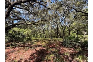 1 4057-0797, FORT MC COY, FL 32134 - MLS#MFRTB8407432