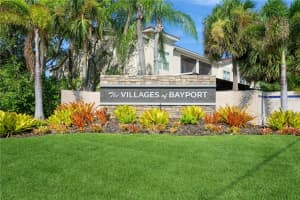 10422 La Mirage Ct, TAMPA