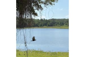 CHURCH RD, BROOKSVILLE, FL 34602 - MLS#MFRTB8407445