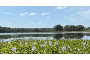CHURCH RD, BROOKSVILLE, FL 34602 - MLS#MFRTB8407445