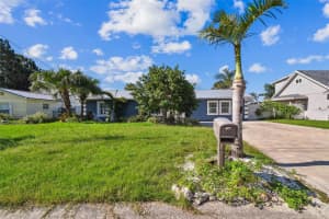 8708 THORNWOOD LANE, TAMPA, FL 33615 - MLS#MFRTB8407470