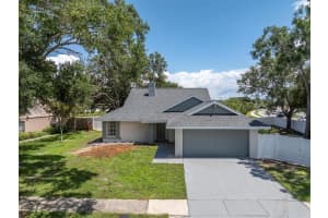 7001 HOLLOWELL DRIVE, TAMPA, FL 33634 - MLS#MFRTB8407478