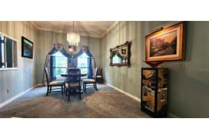 3006 DRAKES LANDING COURT, VALRICO, FL 33596 - MLS#MFRTB8407575