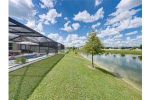 35668 Burma Reed Dr, ZEPHYRHILLS