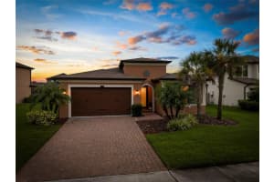 4929 Tivoli Dr, WESLEY CHAPEL