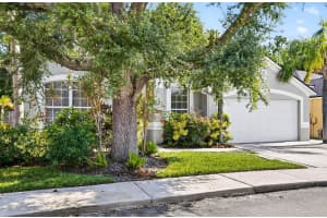 8853 CYPRESS HAMMOCK DRIVE, TAMPA, FL 33614 - MLS#MFRTB8407631