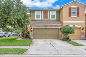 12510 Shirebrook Ct, TAMPA