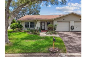 2200 MARSHALL DRIVE, DUNEDIN, FL 34698 - MLS#MFRTB8407658