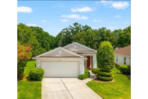 26315 Whirlaway Ter, WESLEY CHAPEL