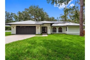 8309 N River Highlands Pl, TAMPA
