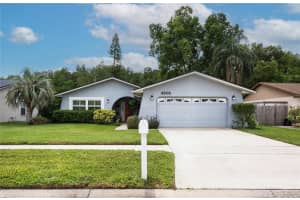 4608 Ridge Point Dr, TAMPA