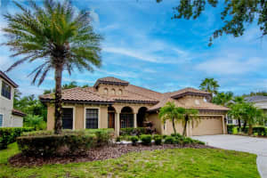 20110 POND SPRING WAY, TAMPA, FL 33647 - MLS#MFRTB8407679