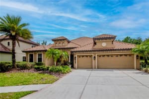 20110 POND SPRING WAY, TAMPA, FL 33647 - MLS#MFRTB8407679