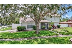 2430 FALCON LANE, PALM HARBOR, FL 34683 - MLS#MFRTB8407697