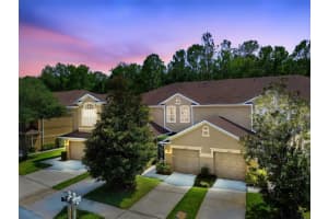18940 Duquesne Dr, TAMPA
