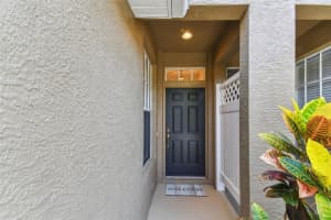 18940 DUQUESNE DRIVE, TAMPA, FL 33647 - MLS#MFRTB8407711