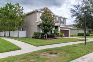 11842 FROST ASTER DRIVE, RIVERVIEW, FL 33579 - MLS#MFRTB8407754