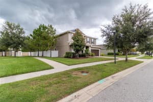 11842 FROST ASTER DRIVE, RIVERVIEW, FL 33579 - MLS#MFRTB8407754