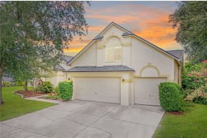 1801 Vista River Dr, VALRICO