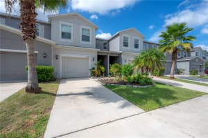 10687 LAKE MONTAUK DRIVE, RIVERVIEW, FL 33578 - MLS#MFRTB8407787