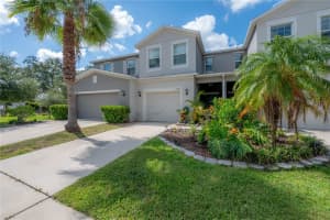 10687 LAKE MONTAUK DRIVE, RIVERVIEW, FL 33578 - MLS#MFRTB8407787